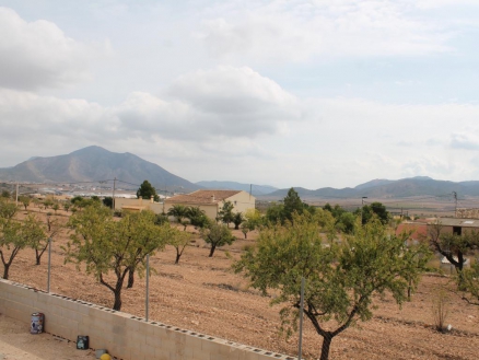 Pinoso property: Villa for sale in Pinoso, Alicante 264952