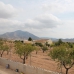 Pinoso property: Villa in Alicante 264952