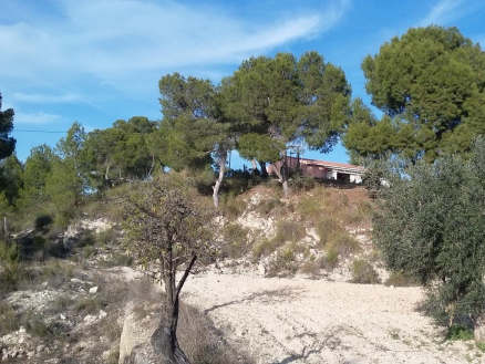 Jumilla property: Villa for sale in Jumilla, Murcia 264953