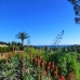 Mijas Costa property: Beautiful Villa for sale in Malaga 264993