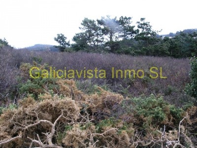Land for sale in town, Spain 265004