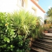 Denia property: 4 bedroom Villa in Alicante 265116