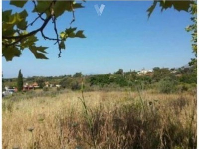 Marbella property: Commercial for sale in Marbella 265466