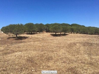 San Roque property: Land with bedroom in San Roque, Spain 265481