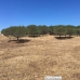 San Roque property: bedroom Land in Cadiz 265481