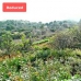 Denia property: Villa for sale in Denia 265778