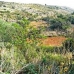 Denia property: Denia, Spain Villa 265778