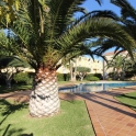 Denia property: Apartment for sale in Denia 265954