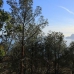 Altea property: Villa in Altea 265958