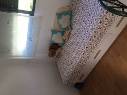 Denia property: Denia Apartment 265966