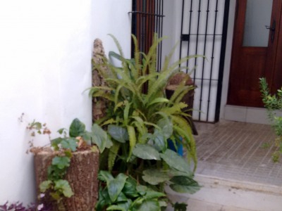 Vejer&nbsp;De&nbsp;La&nbsp;Frontera&nbsp;property:&nbsp;Townhome&nbsp;in&nbsp;Cadiz&nbsp;for&nbsp;sale&nbsp;266251