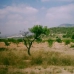 Canada De La Lena property: Canada De La Lena Villa, Spain 266282