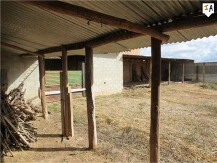 Mollina property: Mollina, Spain | Farmhouse for sale 266404