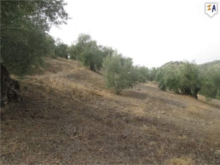 Fuensanta De Martos property: Farmhouse for sale in Fuensanta De Martos, Jaen 266408