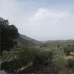 Fuensanta De Martos property: Fuensanta De Martos Farmhouse, Spain 266408