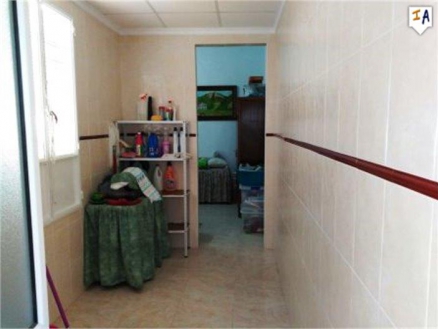 town Townhome 266447