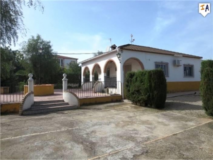 Puente Genil property: Villa for sale in Puente Genil 266451