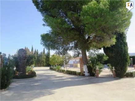 Antequera property: Villa for sale in Antequera, Malaga 266453