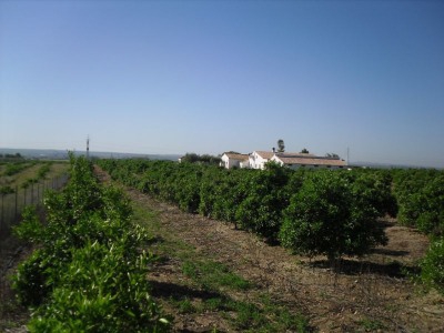 Farmhouse for sale in town, Spain 266707