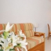 1 bedroom Villa in Alicante 266721