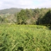 Beautiful House for sale in Coruna 267160