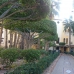 2 bedroom Apartment in town, Spain 267292