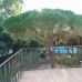 Elviria property: Malaga, Spain Villa 267587