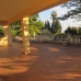 Nueva Andalucia property: Villa in Malaga 268277