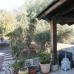 Fortuna property: Villa in Fortuna 270391