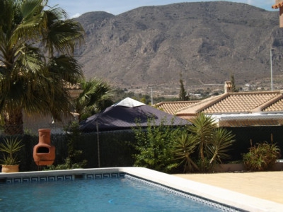 Hondon de las Nieves property: Villa in Alicante for sale 270398