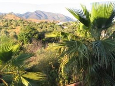 Mijas property: Malaga property | bedroom Commercial 270401