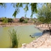 Benijofar property: Villa in Alicante 271550