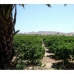 Benijofar property: Benijofar Villa, Spain 271550