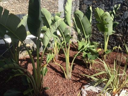 town&nbsp;Villa&nbsp;271568