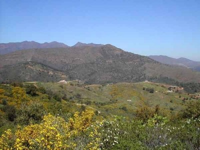 Elviria property: Land for sale in Elviria, Spain 271679