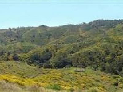 Elviria property: Land in Malaga for sale 271679
