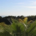 Marbella property: Marbella, Spain Apartment 271682