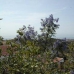 Torre Del Mar property: Villa in Torre Del Mar 271689