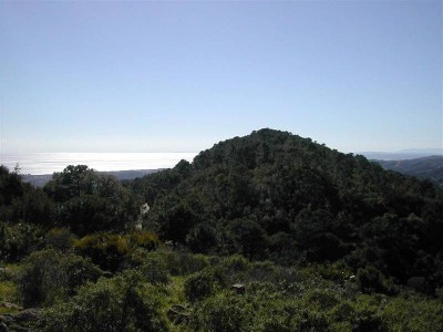 Estepona property: Finca for sale in Estepona, Spain 271693