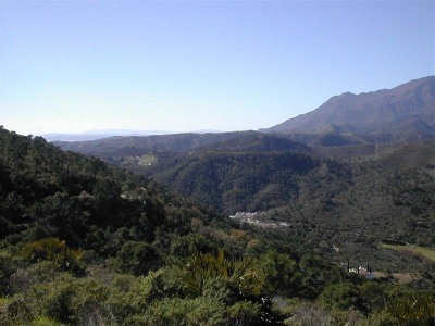 Estepona property: Finca with 5 bedroom in Estepona 271693