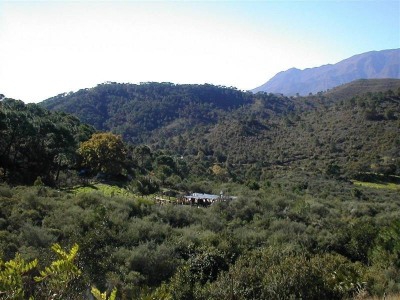 Estepona property: Finca with 5 bedroom in Estepona, Spain 271693