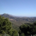 Estepona property: Finca for sale in Estepona 271693