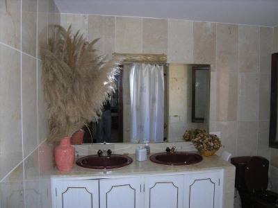 Nueva Andalucia property: Malaga Villa 271696