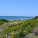 Artola Alta Y Baja property: Villa for sale in Artola Alta Y Baja 271715