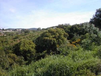 Elviria property: Land with bedroom in Elviria 271726
