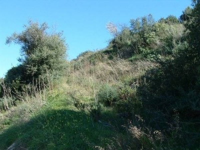 El Rosario property: Land with bedroom in El Rosario 271727