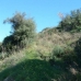 El Rosario property: bedroom Land in El Rosario, Spain 271727