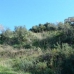 El Rosario property: bedroom Land in Malaga 271727