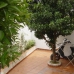 Estepona property: Townhome in Estepona 271748