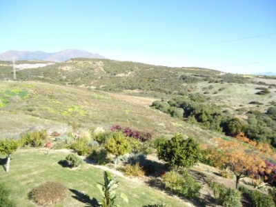 Casares property: Penthouse in Malaga for sale 271792